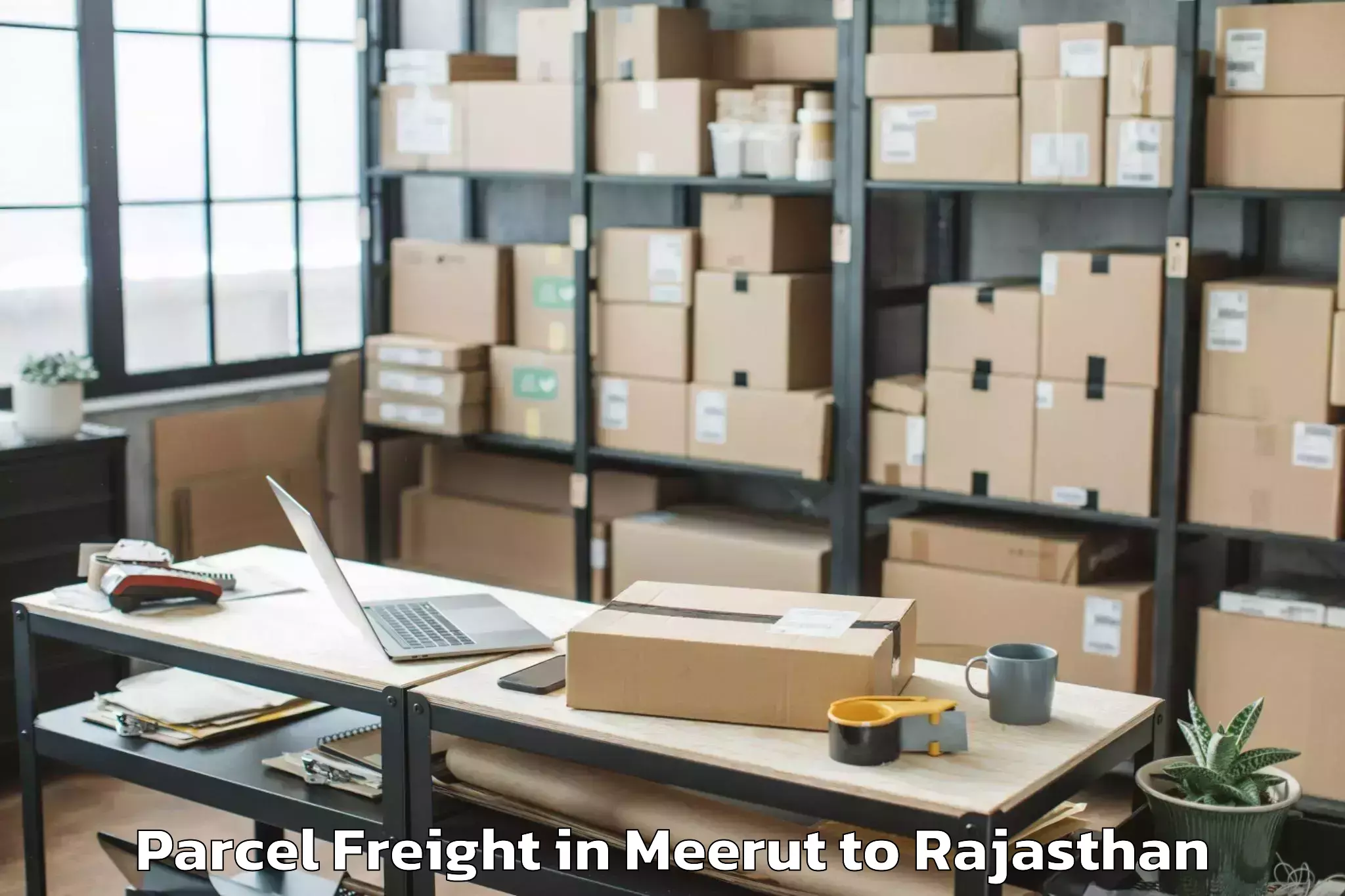 Efficient Meerut to Jobner Parcel Freight